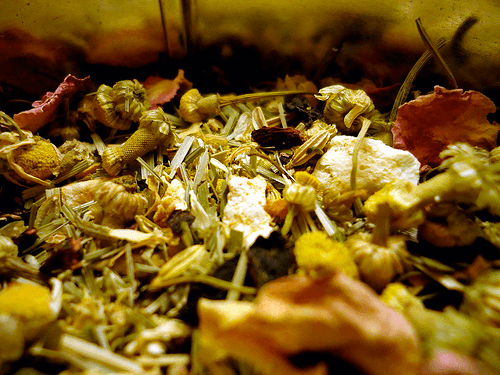 Состав монастырского чая от гипертонии