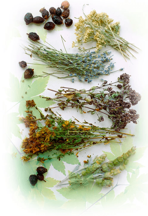 Состав желудочного сбора