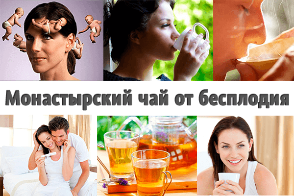 Монастырский чай от бесплодия